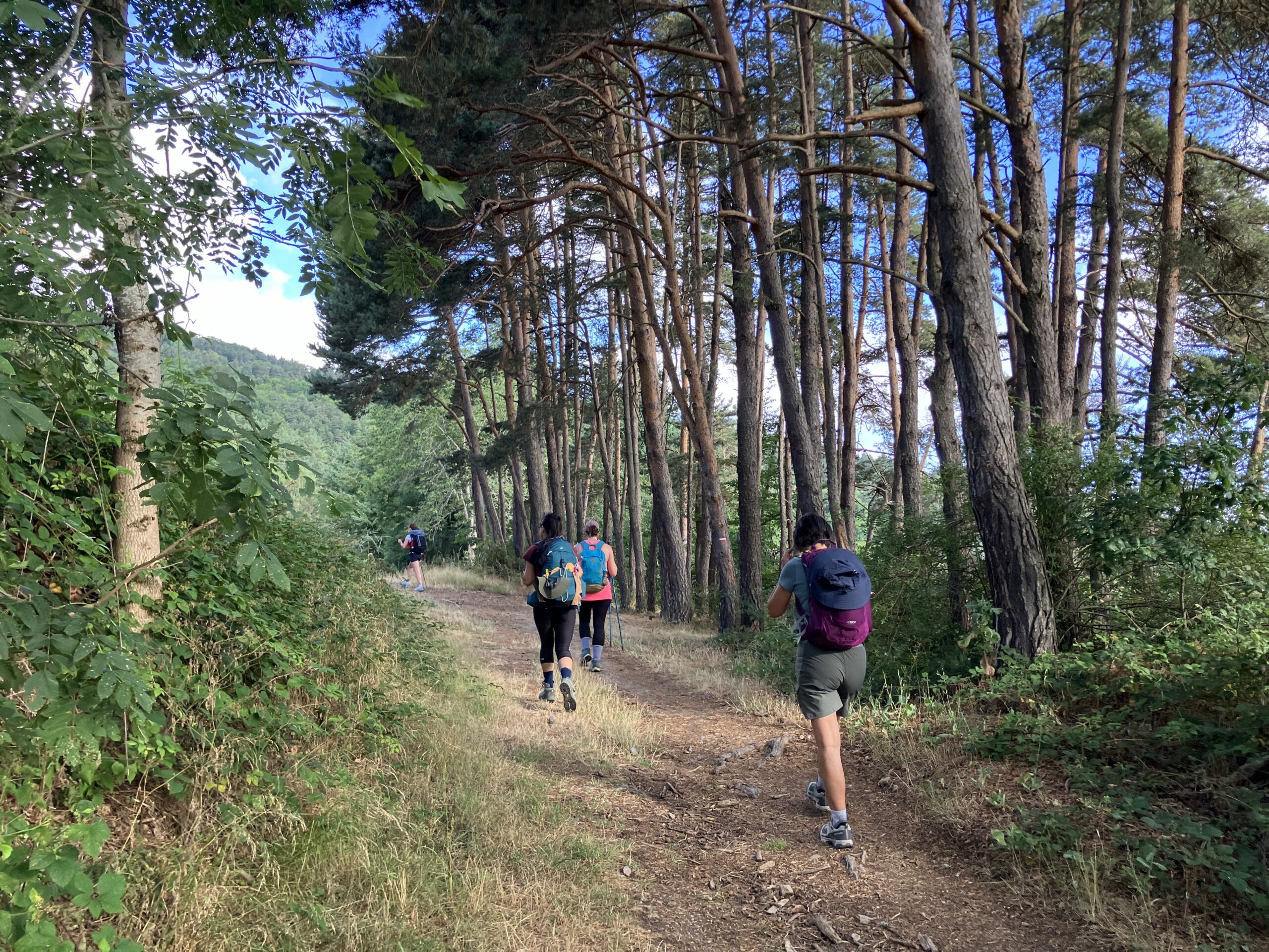 sejour compostelle